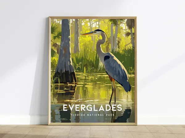 Great Blue Heron Everglades Art Print
