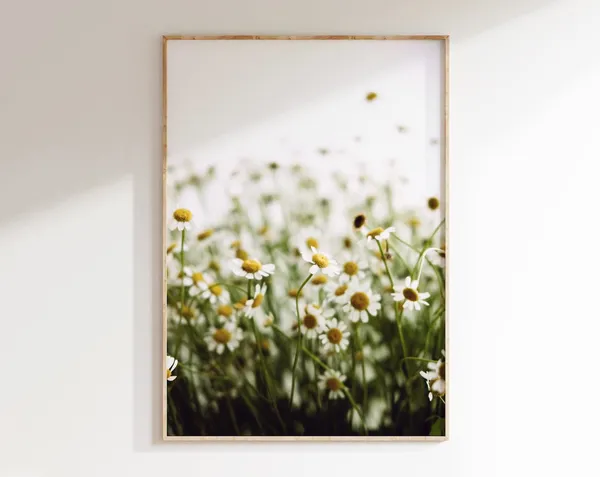 Daisy Field Photography Print, Wild Flowers Poster