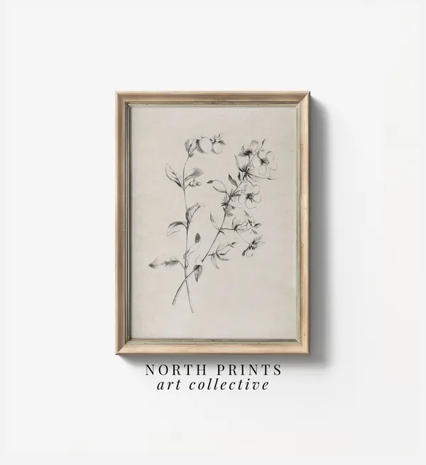Minimalist Botanical Sketch Art, Neutral Country Decor