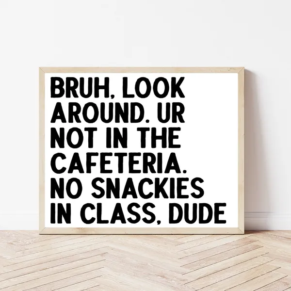 Middle High School Classroom Rules Funny Teacher Poster