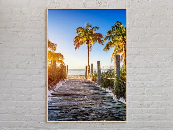 Real Photo Florida Poster Decor Art Print