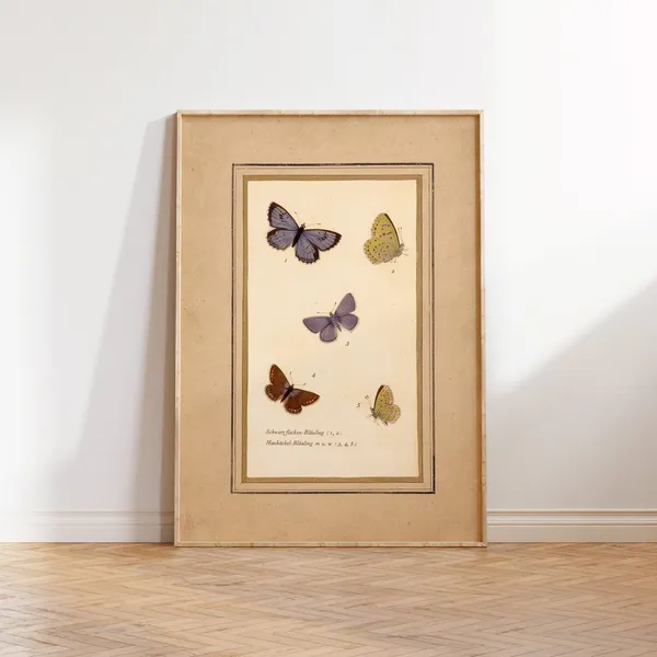 Vintage Butterflies Illustration, Antique Art Print