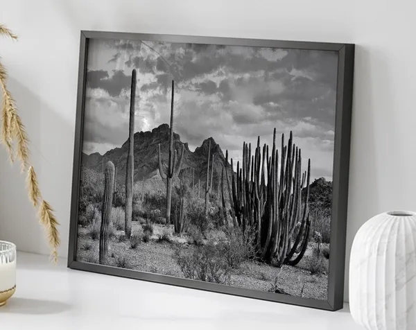 Vintage Desert Landscape, Southwestern Cactus Art Print