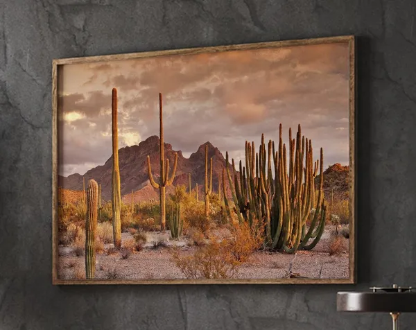 Southwestern Cactus Desert Landscape Wall Art Print