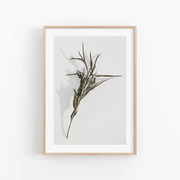 Botanical Print, Modern Minimalist Art Print