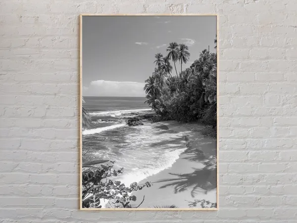 Black and White Costa Rica Travel Poster