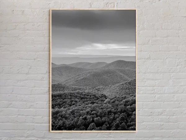 Shenandoah National Park Black and White Poster