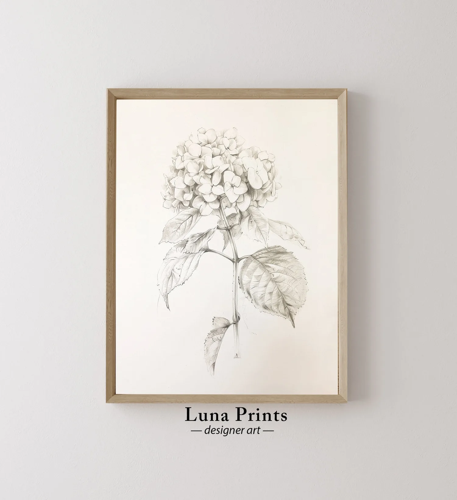 Hydrangea Botanical Print, Black and White Vintage