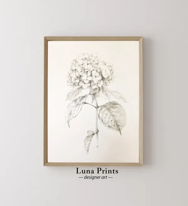 Hydrangea Botanical Print, Black and White Vintage