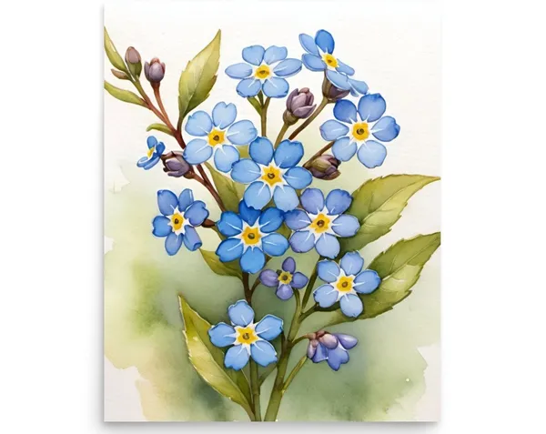 Forget Me Nots Watercolor Art Print, Floral Decor
