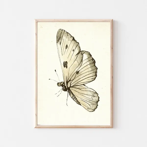 Vintage Butterfly Nursery Sketch Art Print, Baby Room Decor