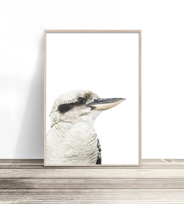 Kookaburra Modern Australiana Bird Wall Art Print