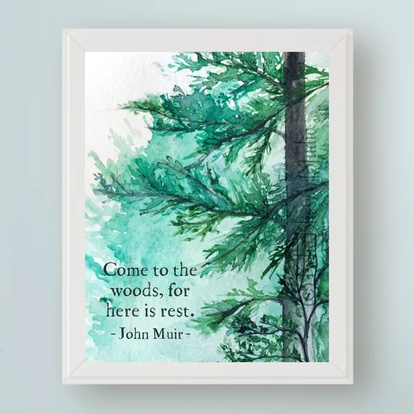 John Muir Quote Art, Woods and Forest Theme