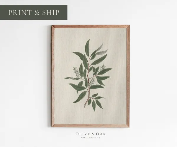 Vintage Botanical Tree Branch Art Print, Farmhouse Decor