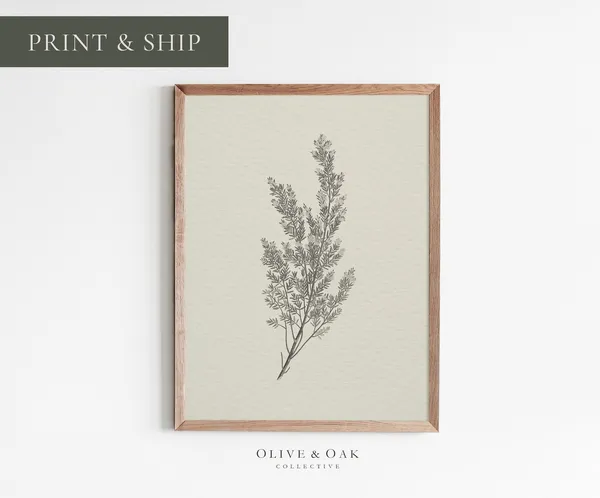 Rustic Botanical Art Print, Simple Neutral Decor
