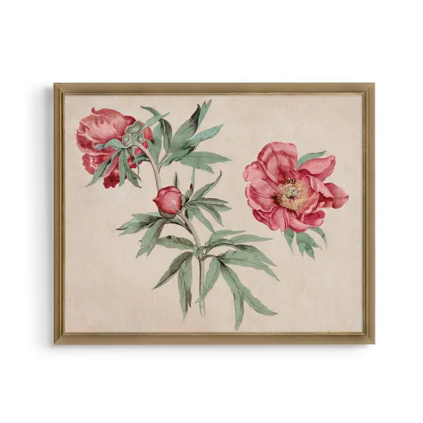 Vintage Peonies Still Life, Farmhouse Floral Art Print