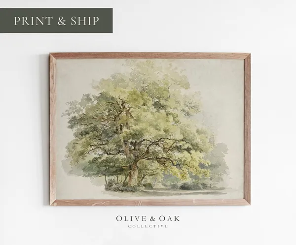 Oak Tree Drawing, Rustic Country Cottagecore Art Print
