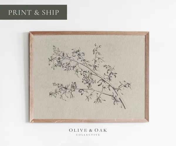 Neutral Branch Sketch - Vintage Botanical