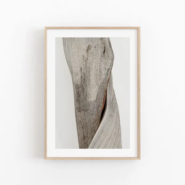 Botanical Print, Modern Minimalist Poster