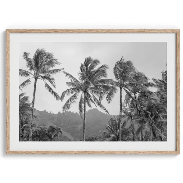 Black and White Hawaii Tropical Beach Art Print