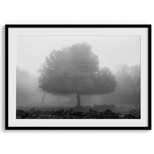 Foggy Forest Landscape, Modern Minimalist Art Print