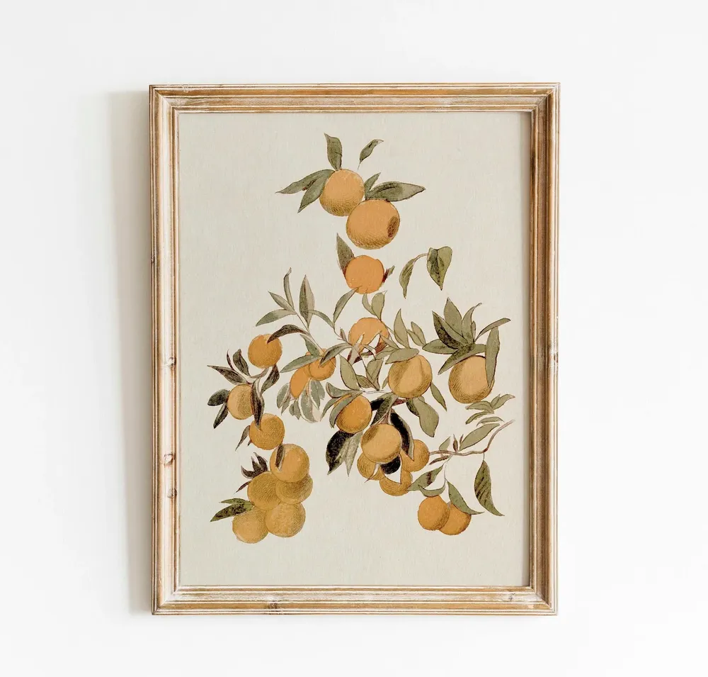 Vintage Citrus Tree Botanical Illustration, Art Print - Image 2