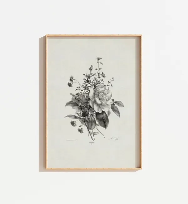 Vintage Botanical Art Print, Antique Neutral Wall Art
