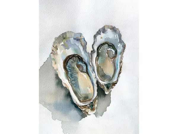 Oyster Painting, Coastal Watercolor Art Print