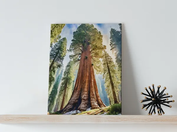 Sequoia Watercolor Art Print, Giant Forest Trees