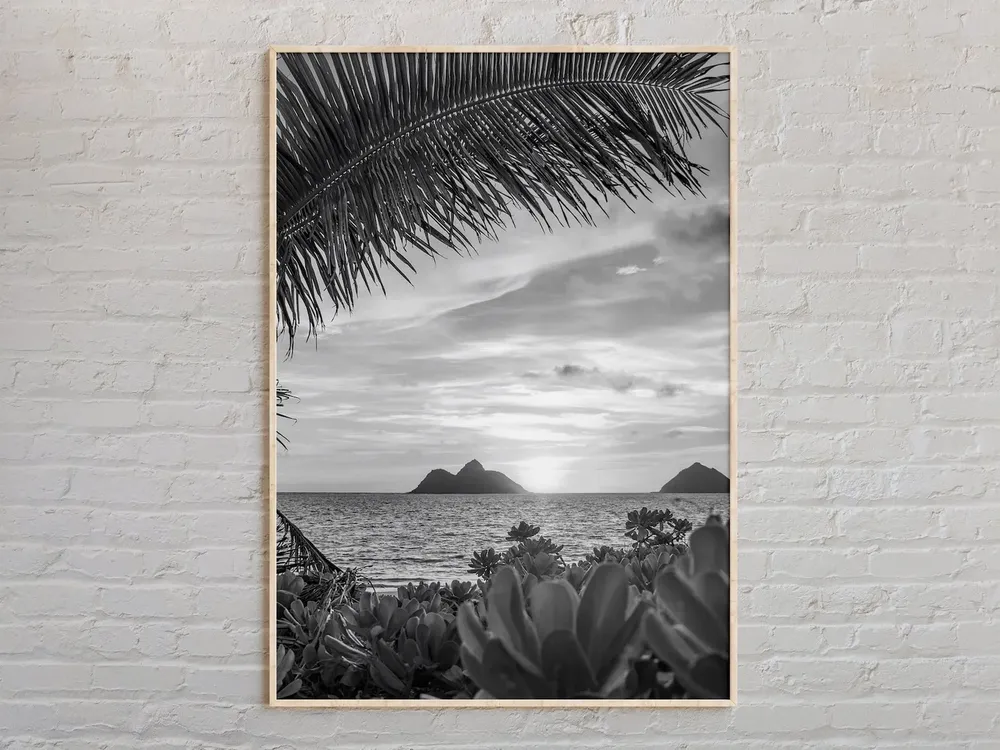 Oahu Black And White Wall Art Print