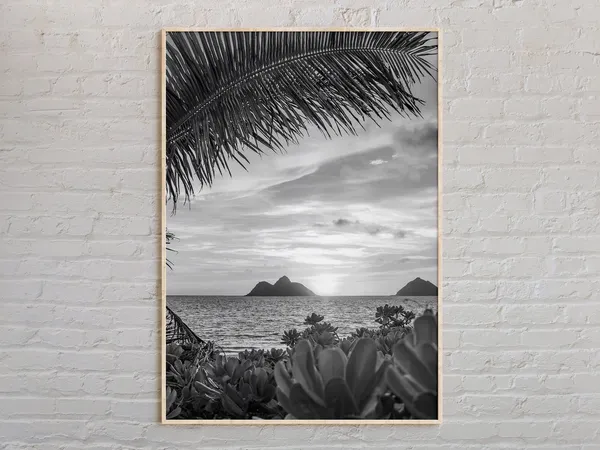 Oahu Black And White Wall Art Print