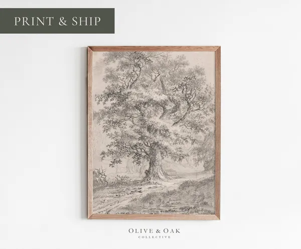 Vintage Tree Sketch, Rustic Tree Drawing Art Print