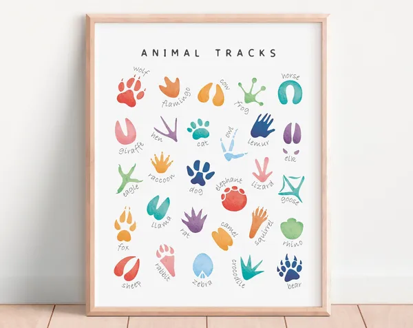 Animal Tracks Poster, Rainbow Nursery Decor