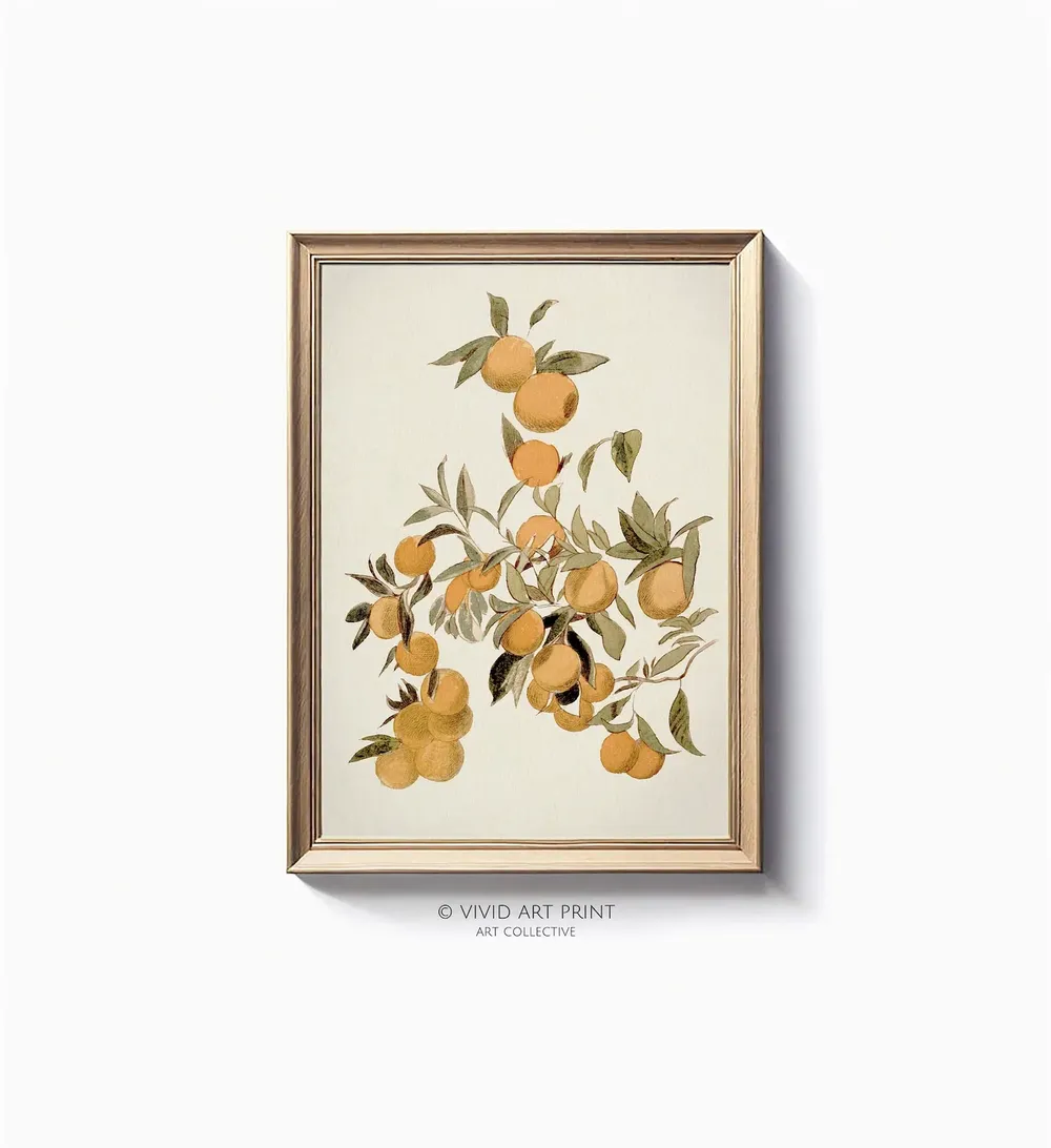 Vintage Citrus Tree Botanical Illustration, Art Print