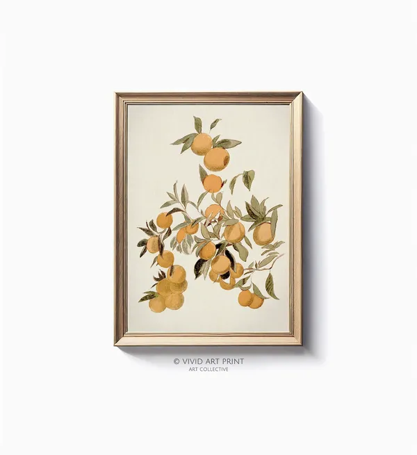 Vintage Citrus Tree Botanical Illustration, Art Print
