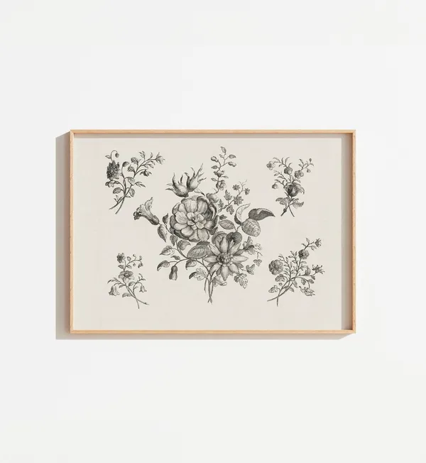 Vintage French Botanical Print, Cottage Farmhouse Art
