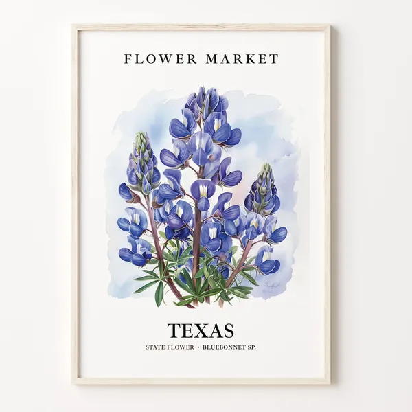 Texas State Flower Bluebonnet Art Print, 1960s