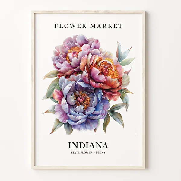 Indiana State Flower Peony, 1960s Botanical Art Print