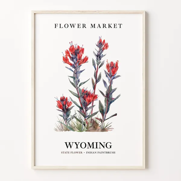 Wyoming Indian Paintbrush 1960s Botanical Art Print