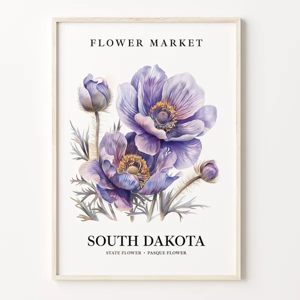 Pasque Flower South Dakota Botanical Art Print
