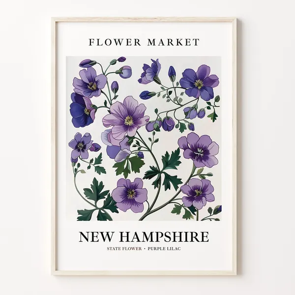 New Hampshire State Flower Art Print, 1960s Lilac