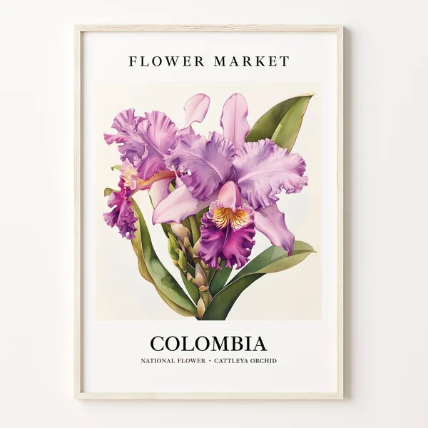 Cattleya Orchid 1960s Botanical Poster Print