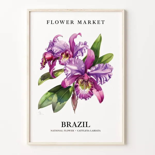 Cattleya Labiata Brazil National Flower Art Print