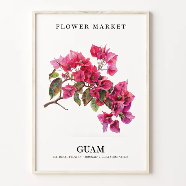 Bougainvillea Spectabilis Botanical Wall Art Print