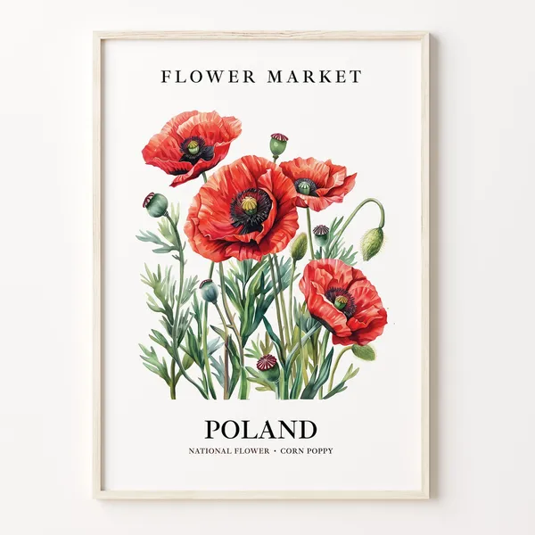 Poland Corn Poppy Botanical Art Print, 1960s