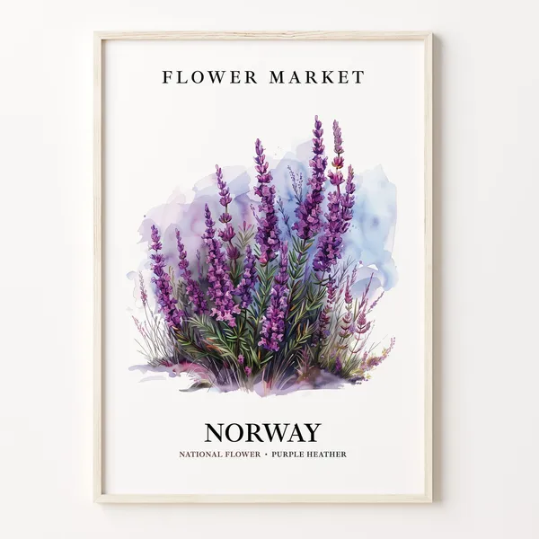 Norway National Flower 1960s Wall Art Print