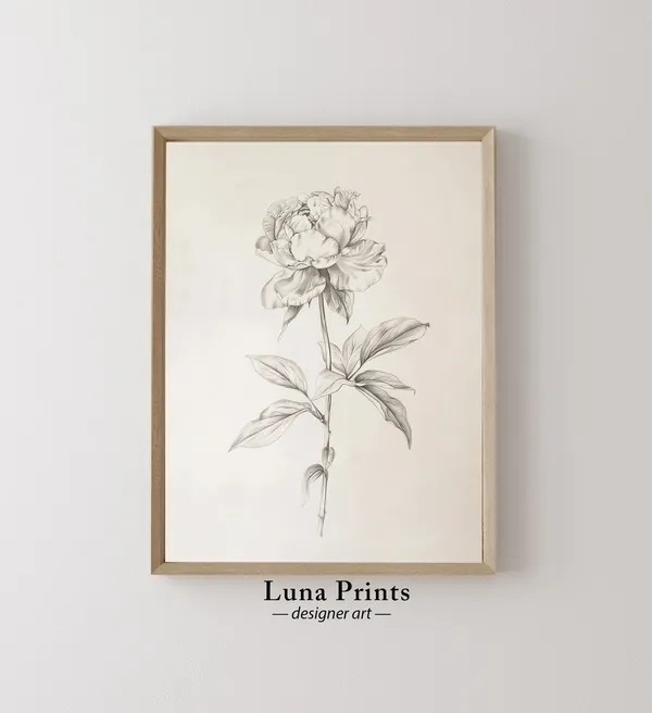 Peony Drawing Art, Vintage Botanical Print