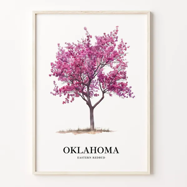 Eastern Redbud Tree Art Print, Oklahoma State Tree