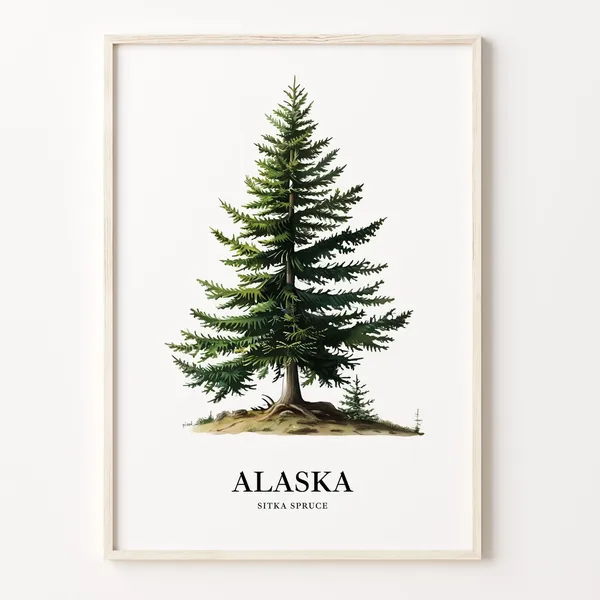 Alaska Sitka Spruce Tree Art Print, State Symbol