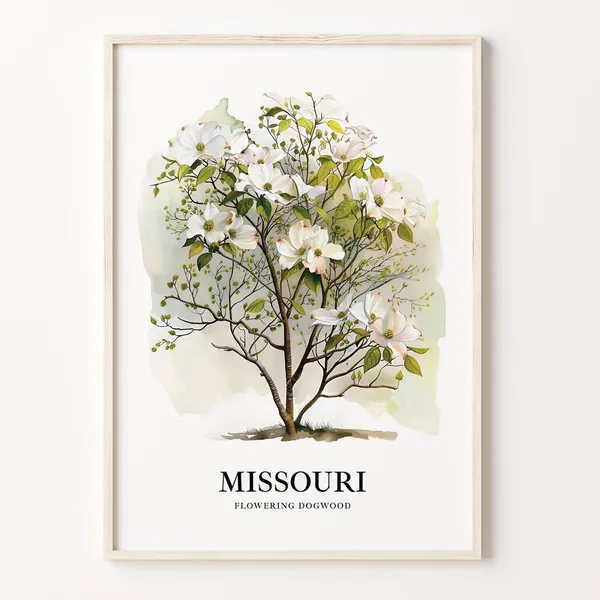 Missouri State Tree Flowering Dogwood Art Print